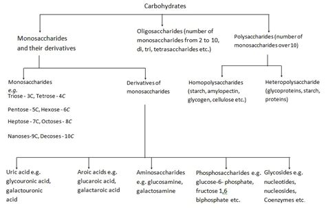 Biology Biomolecules Revision Notes For Neet Aipmt And Medical Exams