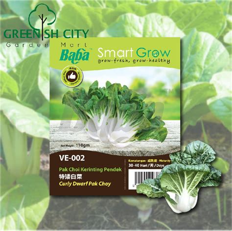 GNC Baba Smart Grow Seeds VE 002 Curly Dwarf Pak Choy Pak Choi