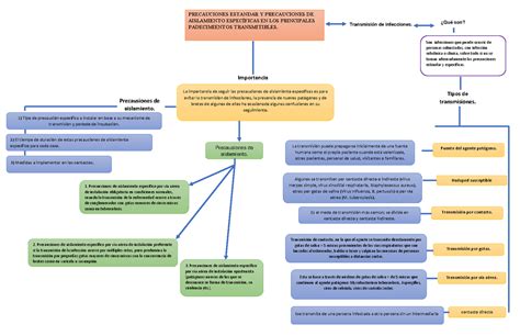 Mapa Conceptual En Word Plantilla Precauciones Estandar Y The Best