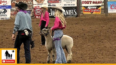 Mutton Bustin 🦙 2023 Abc Pro Rodeo Thursday Youtube