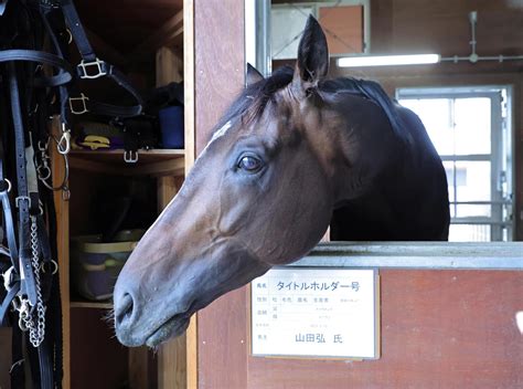 【凱旋門賞】タイトルホルダーが美浦トレセンに帰厩、9月16日に出国予定 海外 競馬写真ニュース 日刊スポーツ