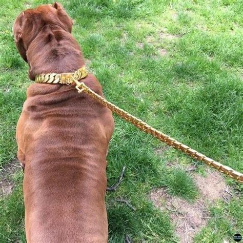 Gold Cuban Link Dog Leash Luxury Lead For Large Dogs Big Dog Chains