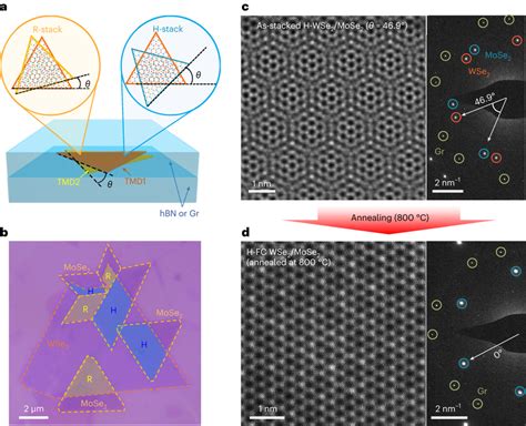 Atomic Reconstruction To Fully Commensurate Structure In Twisted Tmd Download Scientific