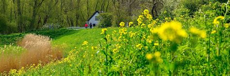 OV Stapper Linge Bloesemwandeling Van Leerdam Naar Beesd