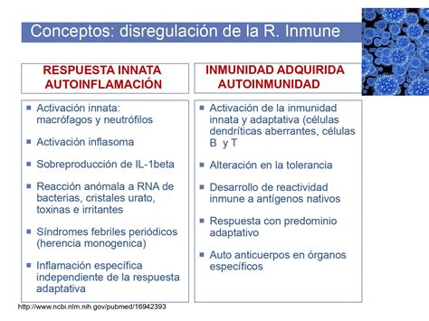 Descubre Las Similitudes Y Diferencias Entre Celiaca Like E