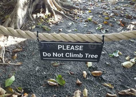 Please Do Not Climb Tree Sign On Rope With Tree In Background 23123805