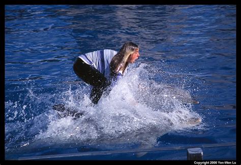 San Diego Sea World