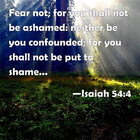 Isaiah 544 Fear Not For You Shall Not Be Ashamed Neither Be You