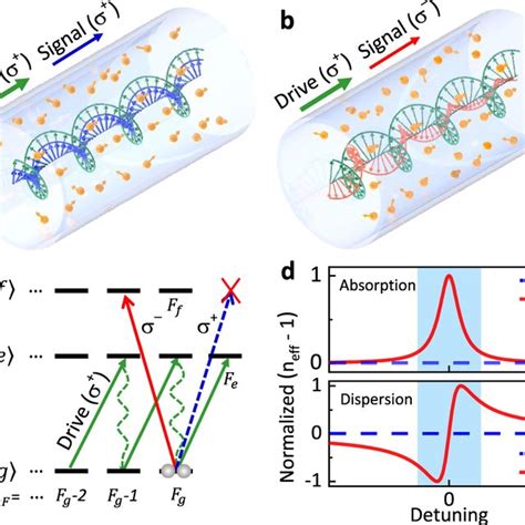 Schematic Of Circular Birefringence And Circular Dichroism Arising From