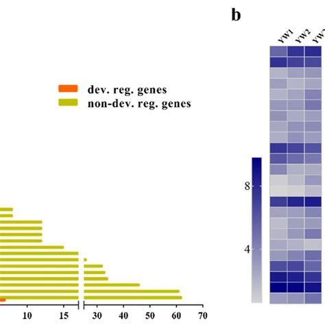 Expression Of Genes Coding For Transcriptional Regulators A