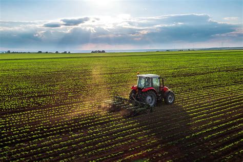Qual A Importância Do Agronegócio Para O Brasil - Qual a Importância do Agronegócio Para o Brasil? – Mundo Ecologia