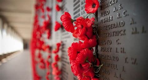 Remembrance Day November 11 2021 Christ The King Catholic Secondary