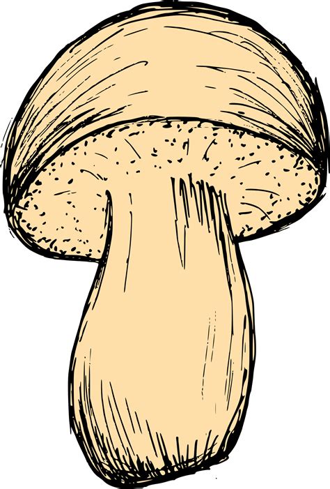 Mushroom Drawing Vector Eps Svg Png Transparent