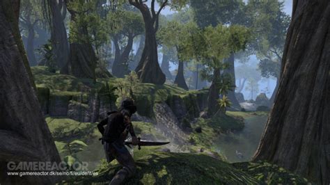 The Elder Scrolls Online Kritik Gamereactor