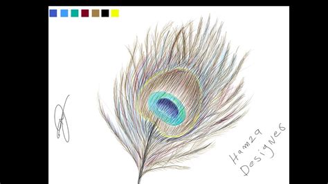 How To Draw Realistic Peacock Feather In Adobe Photoshop Digital