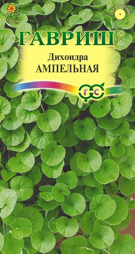 Дихондра Ампельная* 4 шт. DHп - ГАВРИШ ГК