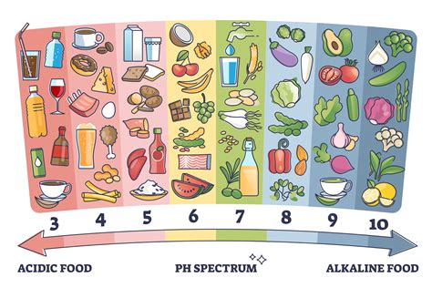 Acid Forming Foods To Avoid