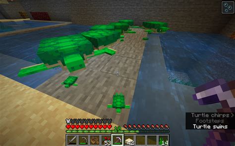 Do turtles sunbathe? - Discussion - Minecraft: Java Edition - Minecraft