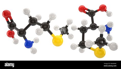 Methionine Molecule Structure D Illustration With Clipping Path Stock