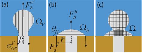 Figure From The Role Of Solid Surface In Bubble Formation And