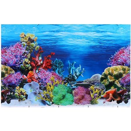 Amazon Balacoo Aquarium Background Sticker D Double Sided