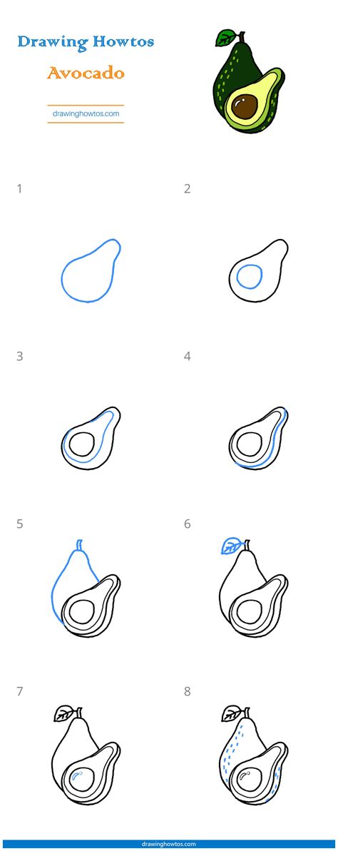 How To Draw An Avocado Step By Step Easy Drawing Guides Drawing Howtos