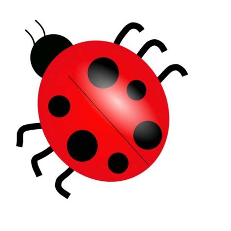 Bug Clip Art Adding A Fun And Colorful Touch To Your Designs