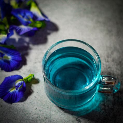 blue pea flower tea 1