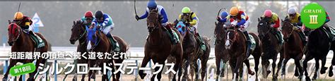 根岸s＆シルクロードsサイン攻略1 Jraサイン 競馬暗号完全攻略