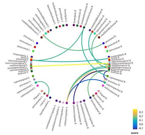 Circular Barplot With R And Ggplot The R Graph Gallery 26784 Hot Sex