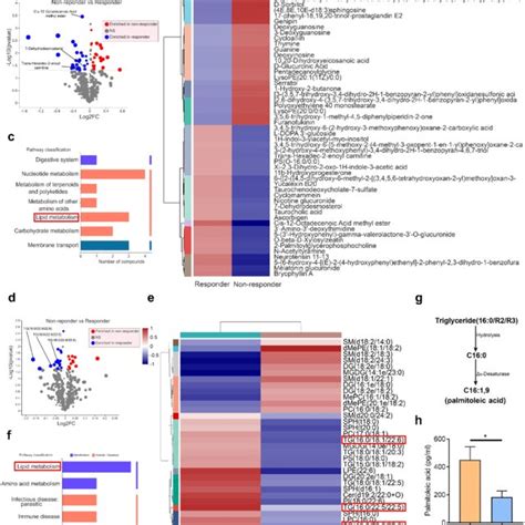 Differential Metabolic Profiles Between Anti Tnf α Therapy Responders