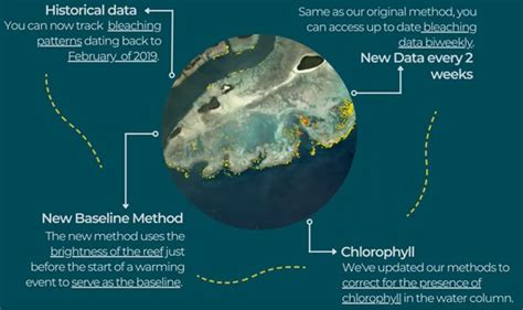 Allen Coral Atlas Releases Updated Coral Bleaching Tool Reef Check