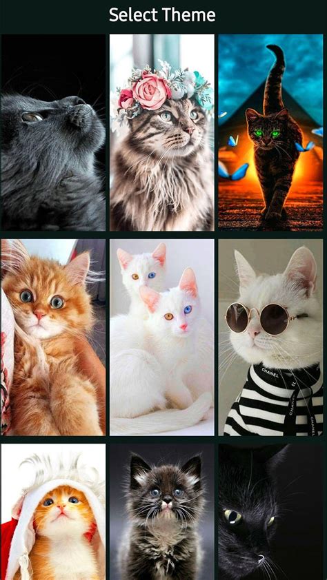 Kitty Cat Password Lock Screen 2020 For Android Download