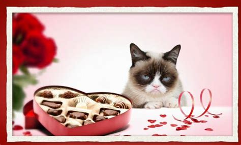 Valentine's 2015/ Get a Free Grumpy Cat Valentine Day e-card here ...