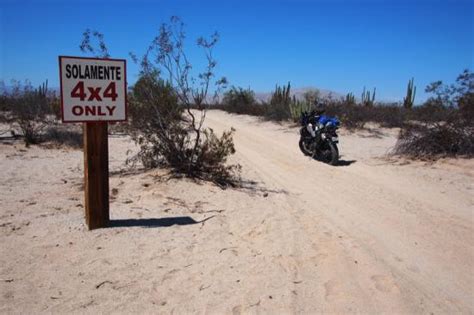 Valley Of The Giants Valle De Los Gigantos Baja California All You