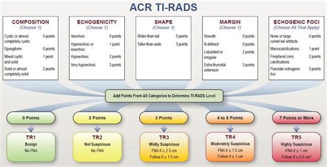 Genetic Optimization Of A Risk Stratification System For Thyroid