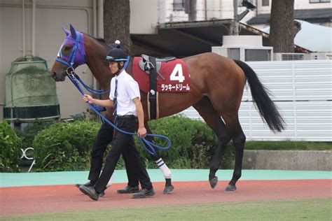 ふわ まさあき On Twitter 2022年9月29日園田競馬11r姫山菊花賞優勝馬ラッキードリーム ラッキードリーム 園田競馬