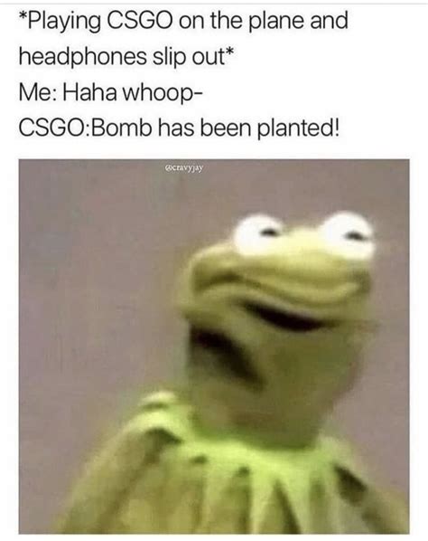 The Best Csgo Memes Memedroid