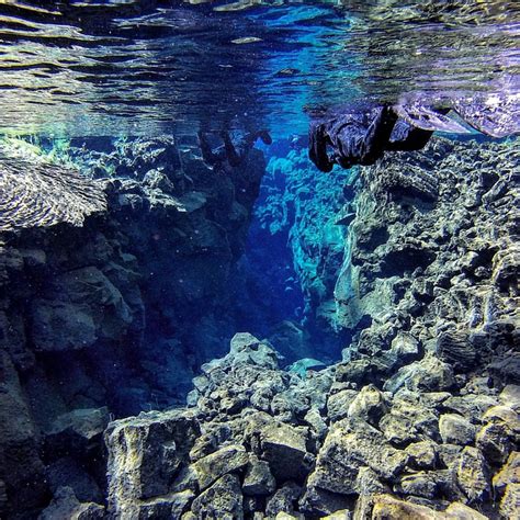 Snorkelling Silfra In Thingvellir National Park Iceland The Restless