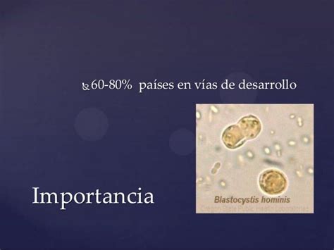 Blastocystis Hominis