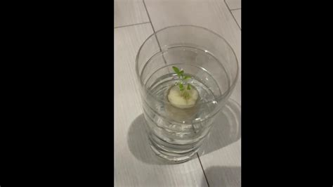 Mi Tsu Ki S Nude Videos Recorded Shows Aznudelive