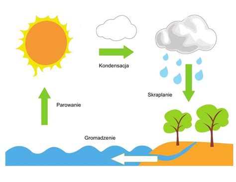 Plansza Dydaktyczna Obieg Wody W Przyrodzie Do Druku Za Darmo Artofit