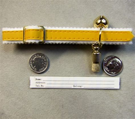 Ct Gold New Pussy Cat Collar EBay