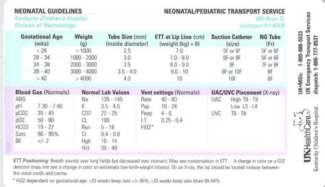 Neonatal Medication And Tube Size Guidelines