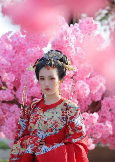 长安月 Hanfu Hairstyles Chinese Beauty Hanfu