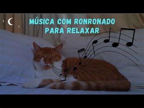 M Sica Para Acalmar Gato Agitado Ronronado De Gato Youtube