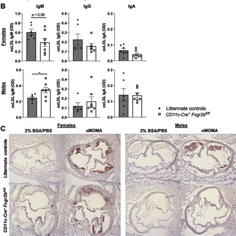 Sex Differences In Serum Markers Of Inflammation And Macrophage