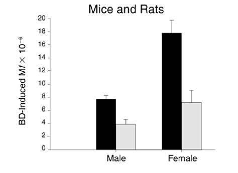 Sex And Species Related Differences In Bd Induced Hprt Mfs In Splenic T