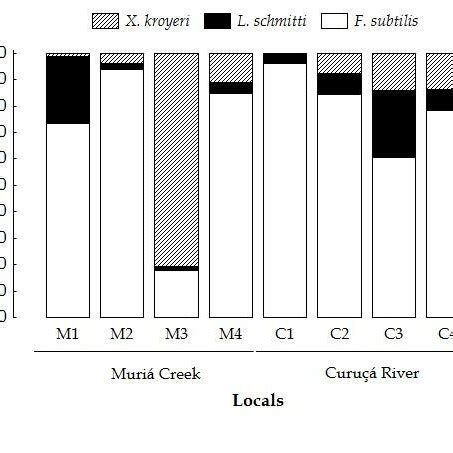 Density of species of Penaeidae, between profiles (Muriá creek and ...