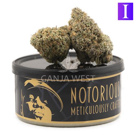 Notorious THC Craft Gorilla Kush 7 Grams Ganja West Online Dispensary